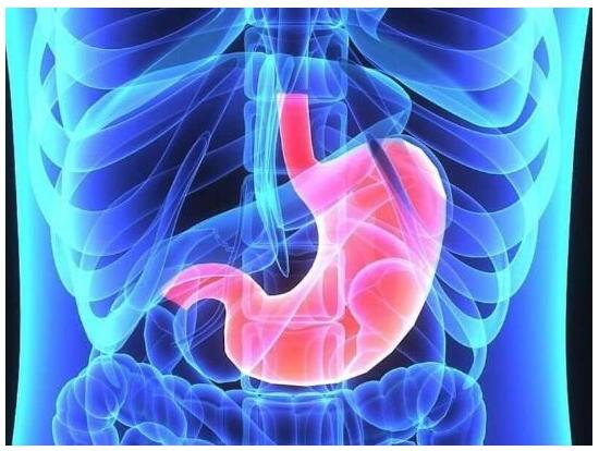 腸道中的有益菌群真的是大腦健康的關(guān)鍵嗎？