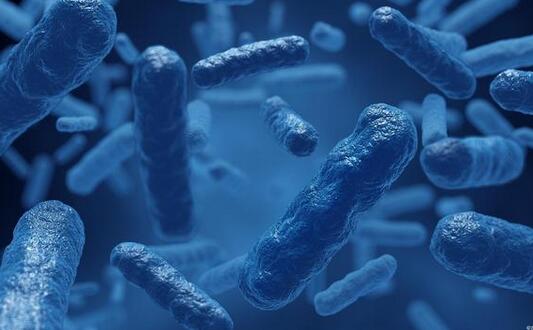 微生物生長的營養(yǎng)要求及環(huán)境因素的關(guān)系