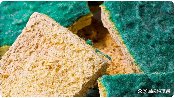 為什么廚房海綿是微生物的最佳棲息地？