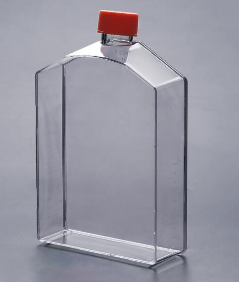 細(xì)胞培養(yǎng)瓶中的細(xì)胞無(wú)法貼壁是什么原因引起的呢？