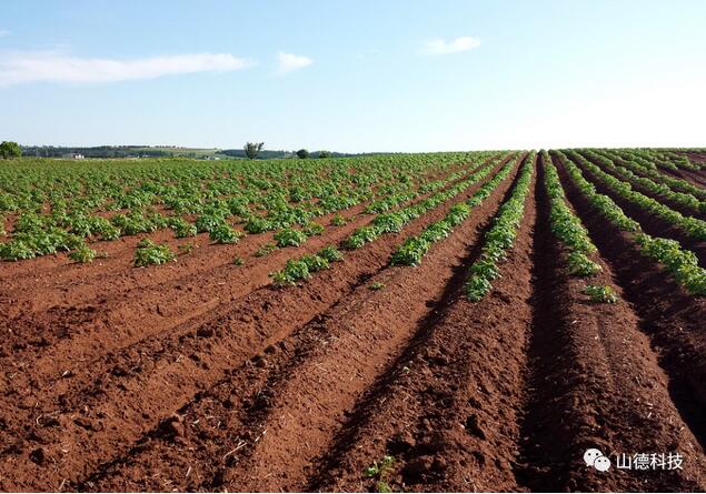 微生物肥料的定義及生產(chǎn)工藝和發(fā)展趨勢