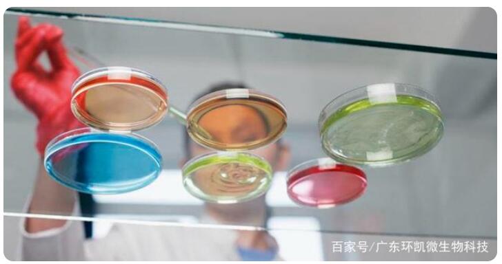 微生物培養(yǎng)基中的生長因子和碳源氮源無機(jī)鹽生長因子指哪些