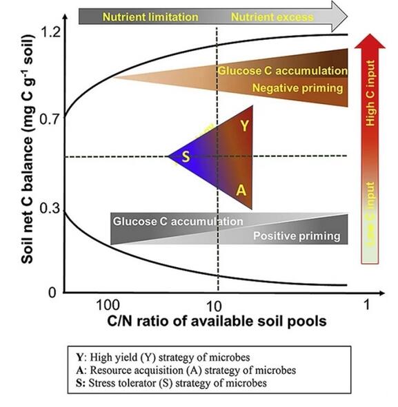 研究揭示微生物生活策略對(duì)激發(fā)效應(yīng)和土壤碳平衡的化學(xué)計(jì)量調(diào)節(jié)機(jī)制