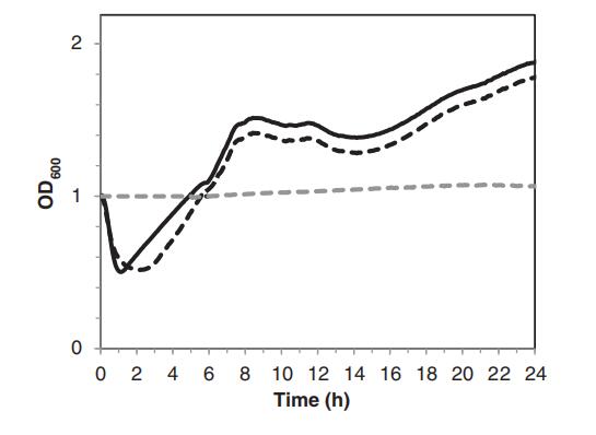 脈沖光和熱處理組合療法導(dǎo)致枯草芽孢桿菌孢子的失活【下】