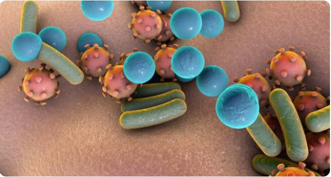 細(xì)菌的生長曲線