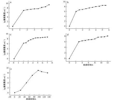 大腸埃希菌、白色念珠菌、黑曲霉等5種標(biāo)準(zhǔn)菌生長曲線測(cè)定方法與經(jīng)驗(yàn)分享