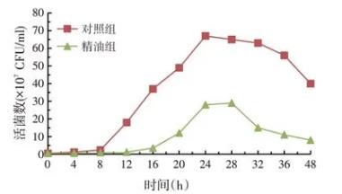?松針精油對梭狀芽孢桿菌、酵母菌、串珠鐮刀菌生長曲線的影響