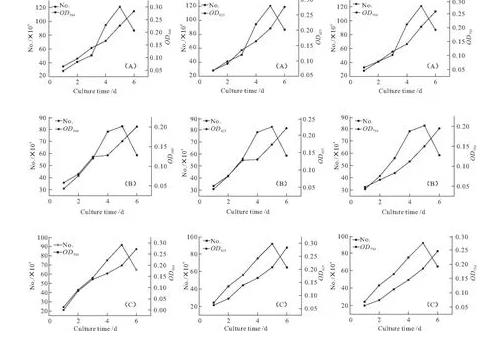 朱氏四爿藻、心形四爿藻等生長評價與生長曲線對比