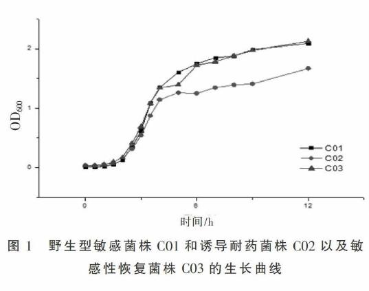 野生型大腸桿菌生長曲線測定及氟喹諾酮類藥物敏感性研究