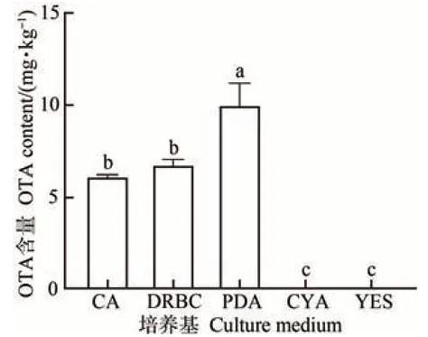 硫色曲霉生長(zhǎng)速率和產(chǎn)毒條件：固體培養(yǎng)基VS天然培養(yǎng)基