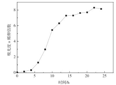 沒食子酸對(duì)酵母細(xì)胞氧化損傷的保護(hù)之酵母菌的生長(zhǎng)曲線繪制