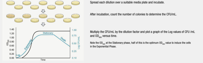 如何測微生物生長曲線