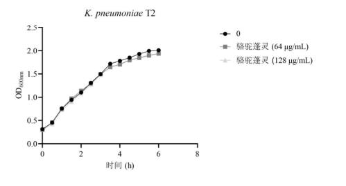 生長曲線試驗驗證駱駝蓬靈破壞細菌外排泵的功能