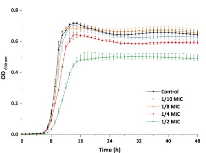 PLA對單核細胞增生李斯特菌生物膜在牛奶和五香牛肉中的生長的影響