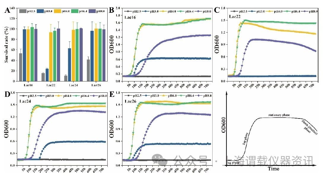 腸出血性大腸桿菌O157:H7的生物膜形成和生長曲線分析