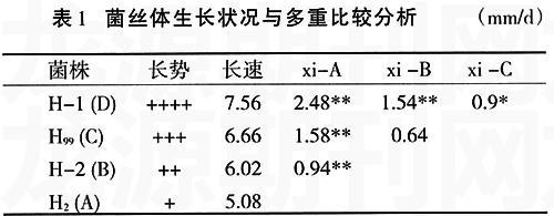 猴頭菇菌絲長速長勢的測定方法