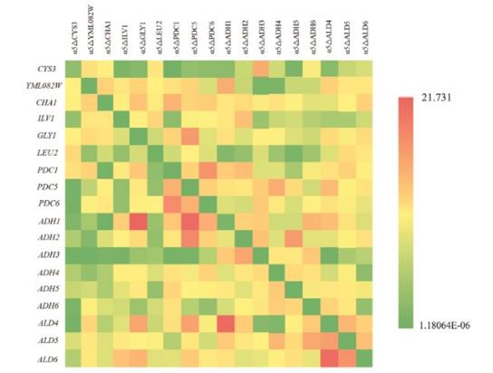 釀酒酵母生產的正丙醇影響白酒的口感和風味