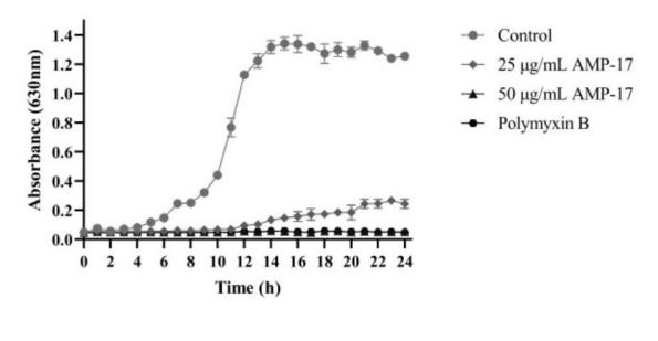 家蠅抗菌肽AMP-17抑制銅綠假單胞菌生長，為解決銅綠假單胞菌耐藥問題提供新思路