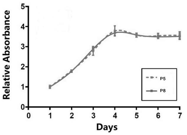 臍帶間充質(zhì)干細(xì)胞的制備方法、步驟及增殖性實驗