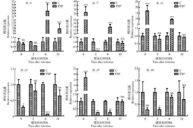雞紅細(xì)胞免疫相關(guān)基因的調(diào)節(jié)功能研究