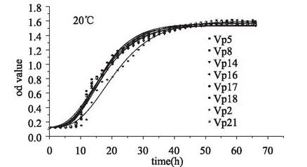 不同耐藥性致病副溶血性弧菌在20℃、25℃、37℃下的生長曲線（二）
