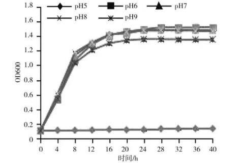不同溫度、ph、N源、C源下?氟磺胺草醚降解菌株FCX2生長特性