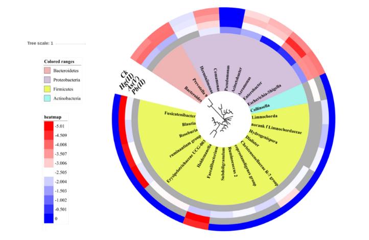 六種不同濃度的重金屬對污泥細菌群落中ARG轉(zhuǎn)移的影響