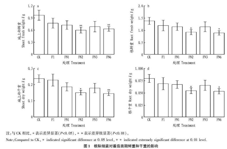 根際細(xì)菌對(duì)番茄幼苗根系及生長(zhǎng)的影響、應(yīng)用潛力與風(fēng)險(xiǎn)（一）