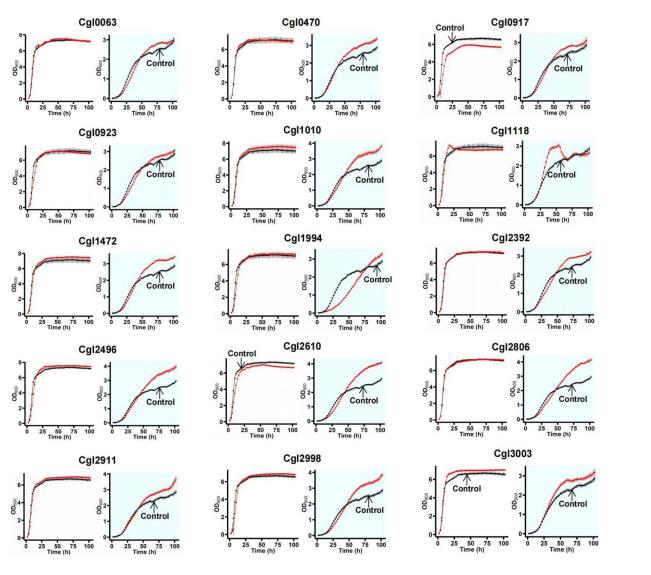 賴氨酸高滲透壓耐受基因在硫酸鈉高滲條件下的生長(zhǎng)曲線