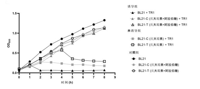 大腸埃希氏菌BL21-C和BL21-T抗噬菌體能力和生長(zhǎng)曲線(xiàn)測(cè)定