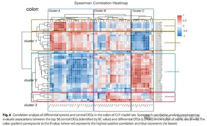 闡明膿毒癥中腸道微生物群和代謝物的組成及其與疾病進展的關系（二）