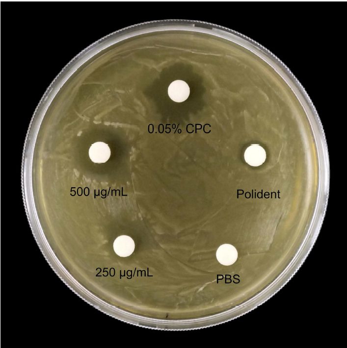AgBr納米顆粒抑制變形鏈球菌生長與防止生物膜形成，適用于義齒清潔行業(yè)