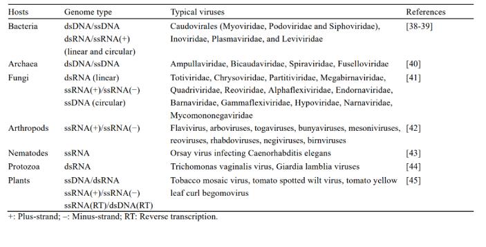 土壤病毒研究常用方法有哪些？