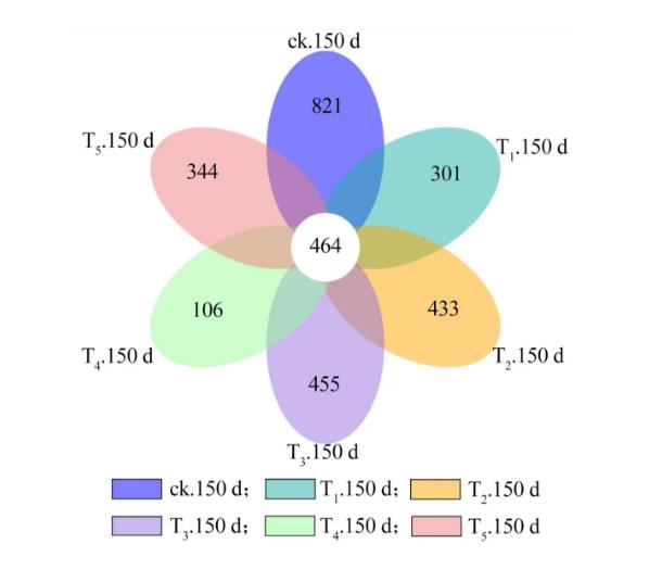 葡萄枝條處理對土壤真菌群落結(jié)構(gòu)、生態(tài)變化的影響（二）