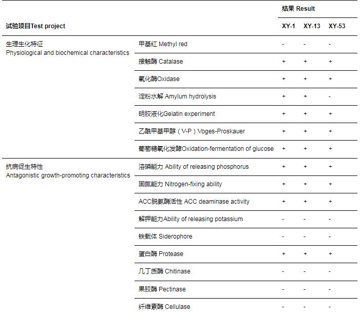 淀粉芽孢桿菌、枯草芽孢桿菌抑制茄病鐮刀菌效果顯著，可促進(jìn)黃瓜幼苗生長（一）
