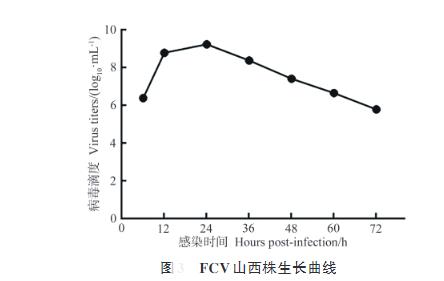 貓杯狀病毒生長(zhǎng)曲線測(cè)定