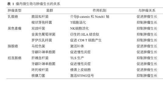 腫瘤內(nèi)微生物的發(fā)現(xiàn)、來(lái)源、特征及組成