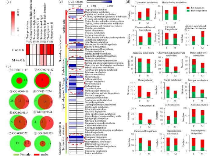 紫外線-B輻射下紅豆杉性別特異性響應(yīng)的潛在機(jī)制及對(duì)真菌群落組成的影響