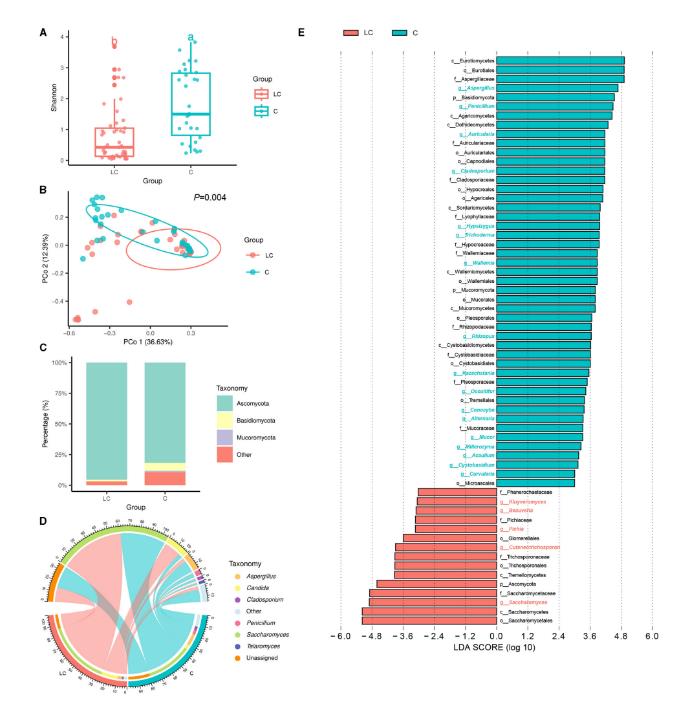肝硬化患者腸道微生物的特征、代謝物的組成和相互作用