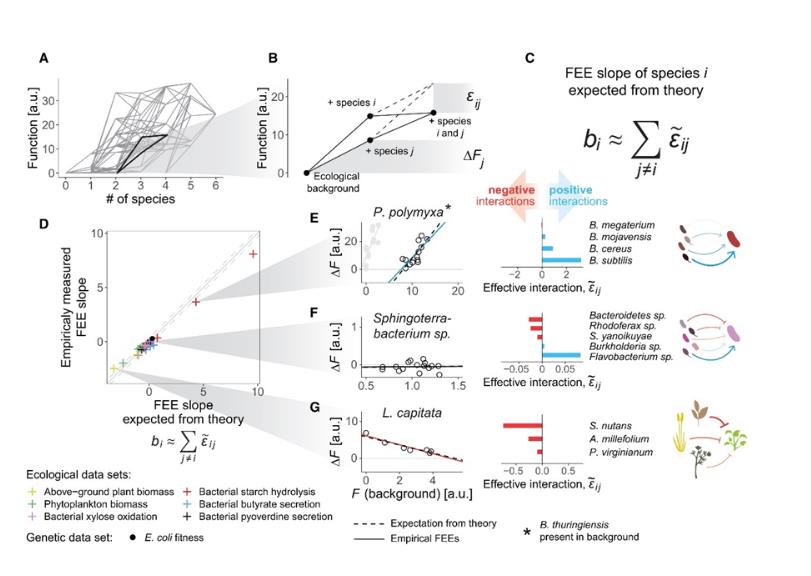 揭示不同生境生態(tài)群落中廣泛存在的全局功能上位效應(yīng)（二）
