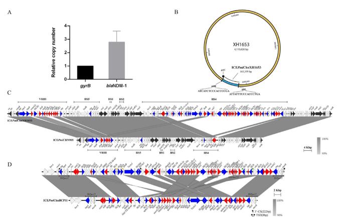 ?含碳青霉烯耐藥基因blaNDM-1的奇異變形桿菌，臨床治療極其困難
