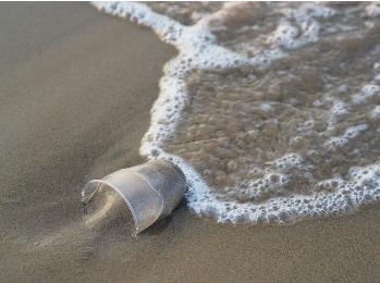 微塑料與致病菌、細(xì)菌遷徙、耐藥性的關(guān)系