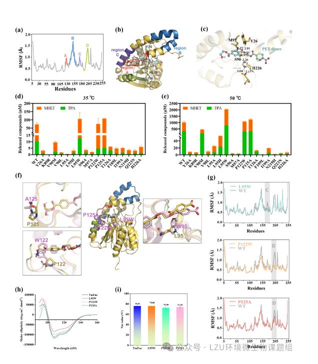新篩選PET塑料降解酶表征、降解能力、最佳條件、實(shí)際應(yīng)用（二）