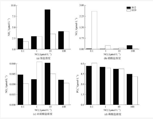 不同硝酸鹽濃度下渤海和黃海聚球藻生長(zhǎng)曲線、色素含量變化——結(jié)果與討論、結(jié)論