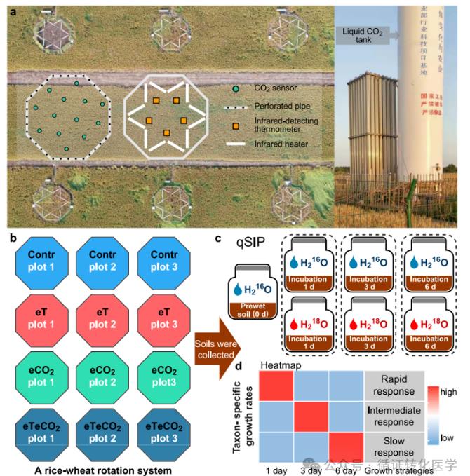 增溫和二氧化碳富集對(duì)土壤細(xì)菌的生長(zhǎng)策略、系統(tǒng)發(fā)育模式的影響（一）