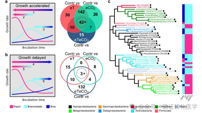 增溫和二氧化碳富集對土壤細(xì)菌的生長策略、系統(tǒng)發(fā)育模式的影響（二）