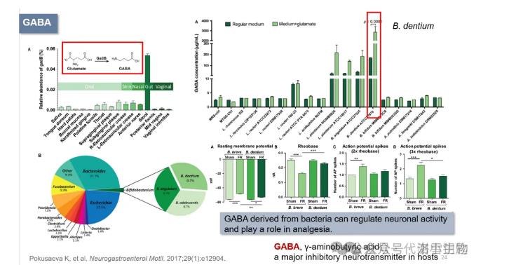 通過飲食-微生物-腸-腦軸促進(jìn)健康的研究思路（二）