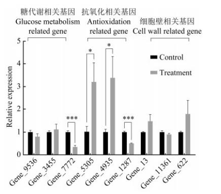 桑椹菌核病拮抗菌的分離篩選、鑒定、生防作用與機(jī)理——討論與結(jié)論