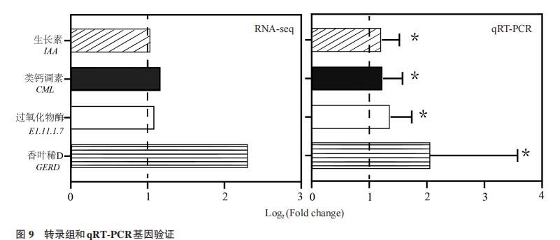 平板實(shí)驗(yàn)測(cè)定貝萊斯芽胞桿菌WB菌株對(duì)西瓜植株的促生效應(yīng)——討論、結(jié)論