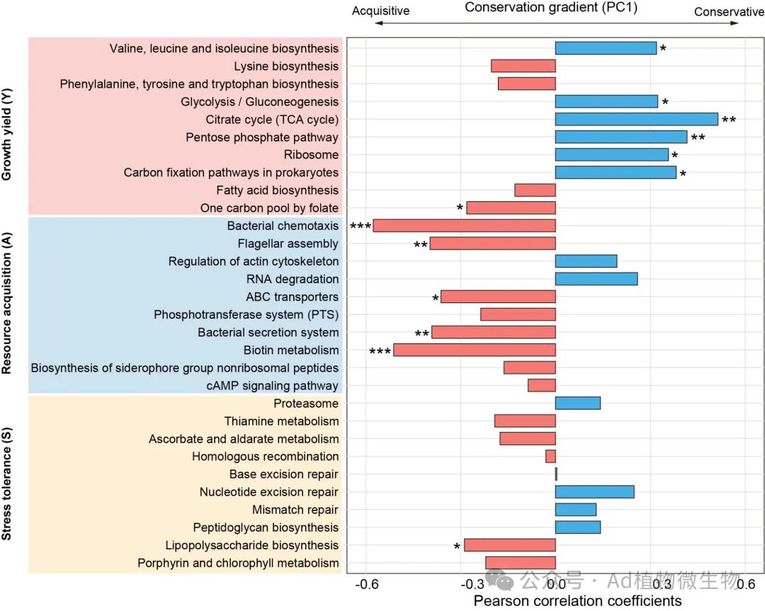預(yù)測(cè)植物-微生物共同驅(qū)動(dòng)生態(tài)功能的潛力、協(xié)同調(diào)控土壤碳氮?jiǎng)討B(tài)的生態(tài)機(jī)制